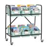 Mid-Size Mobile Storage Rack With Chapter Book Bins™ - 1 rack, 6 bins