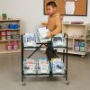 Mid-Size Mobile Storage Rack With Chapter Book Bins™ - 1 rack, 6 bins