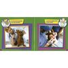 Frog Street Social Emotional Book Set 9 Titles