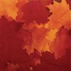 Red Leaf, Yellow Leaf Hardcover Book