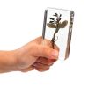 Excellerations® Acrylic Peanut Life Cycle Specimens – Set of 4