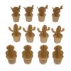 Colorations® Decorate Your Own Cactus - Set of 12