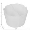 Colorations® BioColor® Paint and Mixing Cups Kit