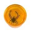 Excellerations® Translucent Magnifying Cups - Set of 6