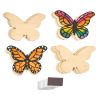 Colorations® Decorate Your Own Butterfly Magnets