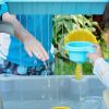Rain Showers and Flow Water Table