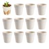Colorations® Santa’s Little Planters Kits - Makes 12 Crafts