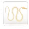 Excellerations® SpeciFun™ 4 Skeleton Specimen Tiles and Cards