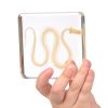 Excellerations® SpeciFun™ 4 Skeleton Specimen Tiles and Cards