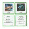 Excellerations® SpeciFun™ 4 Skeleton Specimen Tiles and Cards