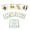 Excellerations® SpeciFun™ 4 Fruit + Vegetable Lifecycle Tiles and Cards