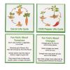 Excellerations® SpeciFun™ 4 Fruit + Vegetable Lifecycle Tiles and Cards
