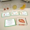 Excellerations® SpeciFun™ 4 Fruit Tile Specimens and Cards