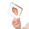 Excellerations® SpeciFun™ 4 Fruit Tile Specimens and Cards