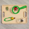 Excellerations® NatureForce™ Explore Study Kit - 4 pieces