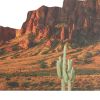 Excellerations® Scenery Station – Desert