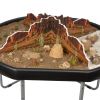 Excellerations® Scenery Station – Desert