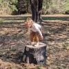 Evolve Play Bear Stump