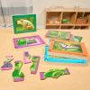 Excellerations® Layered Life Cycle Puzzles - Set of 4