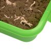Excellerations® Wonder Dirt™ Dinosaur Excavation Kit