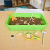 Excellerations® Wonder Dirt™ Dinosaur Excavation Kit