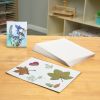 Colorations® Specimen Press Paper – 200-Pack Blotting Sheets