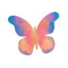 Colorations® Decorate Your Own Paper Butterflies - Set of 24