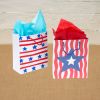 Colorations® 4th of July Stars and Stripes Gift Bag Craft Kit – Makes 24 Crafts