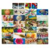 Excellerations® EduView™ Familiar Objects 3"Acrylic Picture Tiles - Set of 52