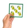 Excellerations® EduView™ Subitizing Numbers 1 to 10 - 3" Acrylic Tiles - Set of 50