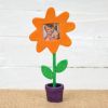Colorations® Halloween Pumpkin Patch Photo Frame Craft Kit – Makes 12 Crafts