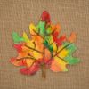 Colorations® Thanksgiving Leaf Art Craft Kit – Makes 24 Crafts