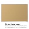 3' X 4' Value-Tak Cork Board Aluminum Trim