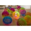 Light-Up Two-Tone Bouncy Ball Assortment - 12 Pack