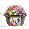 Bountiful Butterfly Garden