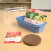 Edible Garden - Set of 6