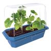 Garden Grow Kit - Greenhouse + 6 plants