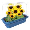 Garden Grow Kit - Greenhouse + 6 plants