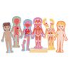 Human Body Magnetic Puzzle - 63pcs