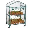 3 Classroom Growing Kits and Greenhouse