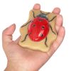 Sensory Play Stones - Bugs 12 pieces