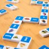 First Words Dominoes - 28 pieces