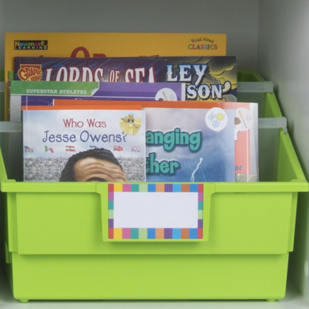 Picture Book Library Bins With Dividers 12Pack Rainbow