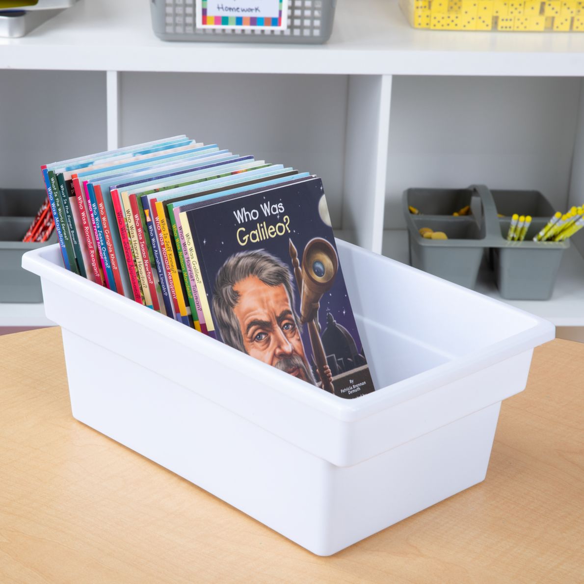 AllPurpose Bins Set Of 12 Single Color