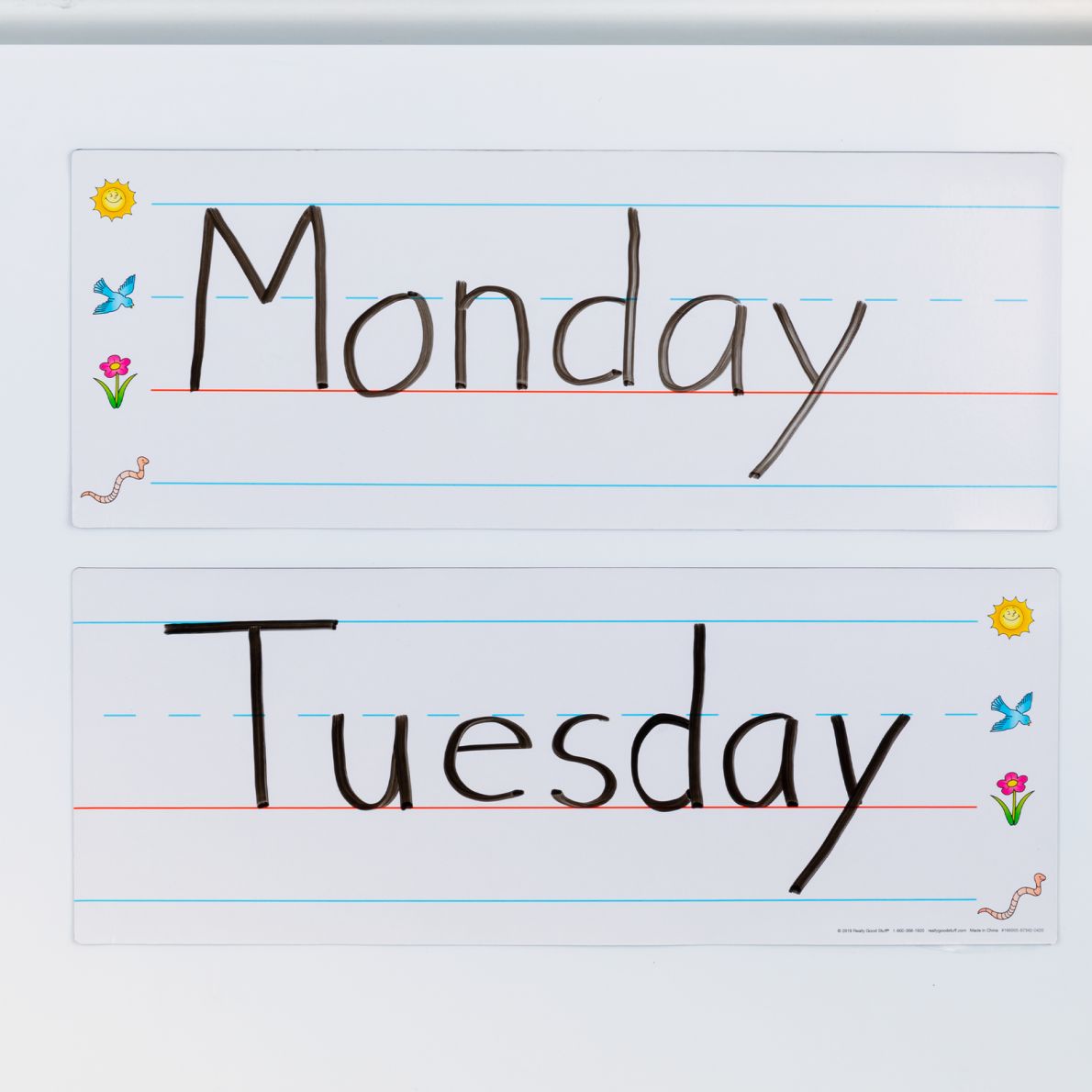 Jumbo Dry Erase Writing Lines 2 writing lines