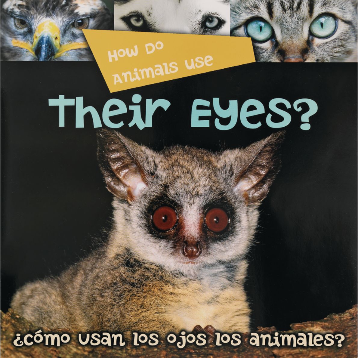 Animals Big Book Set of 6