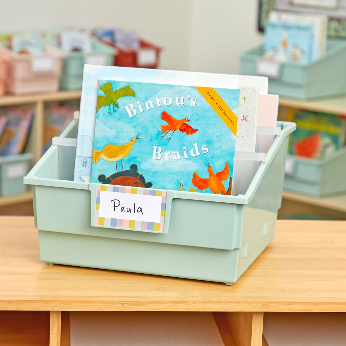 Really Good Stuff® Picture Book Classroom Library Bins™ With Dividers