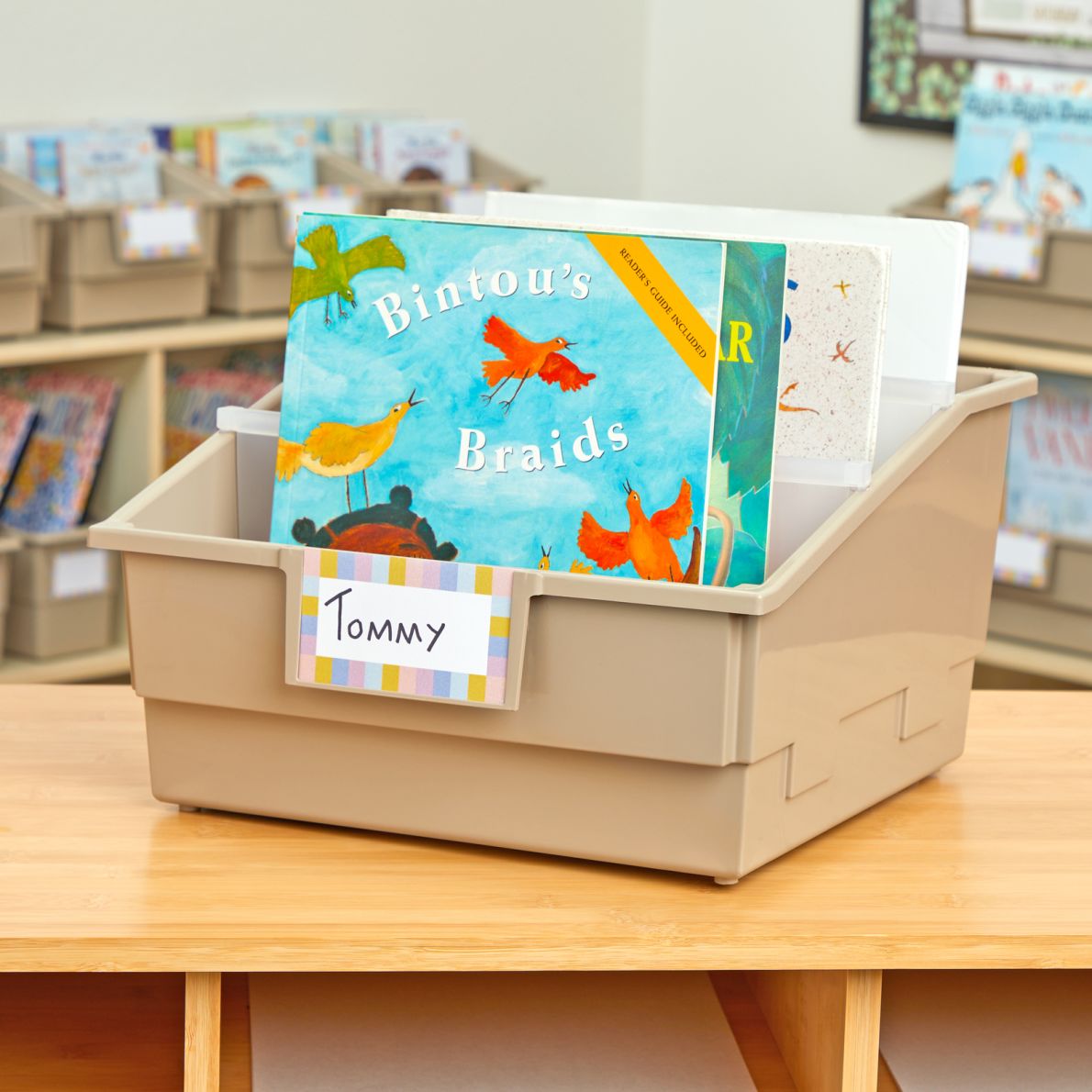 Really Good Stuff® Picture Book Classroom Library Bins™ With Dividers