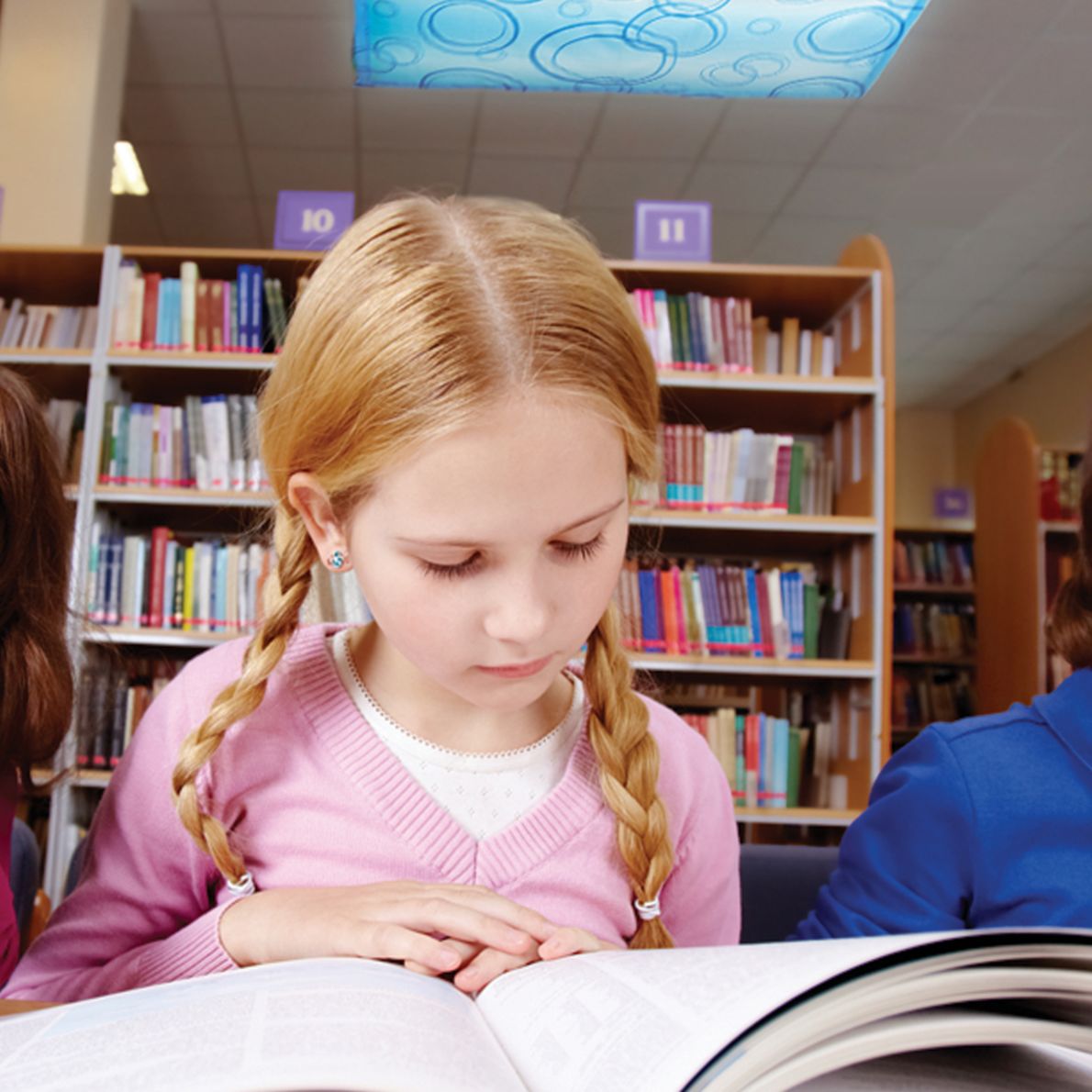 Fluorescent Light Filters Set Of 2