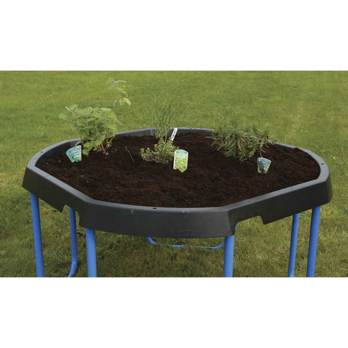 Active World Tuff Tray and Adjustable Stand Set